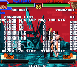 Practice mode command list overlaying a fight